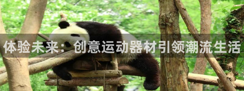 k1体育官网下载是干嘛的公司：体验未来：创意运动器材
