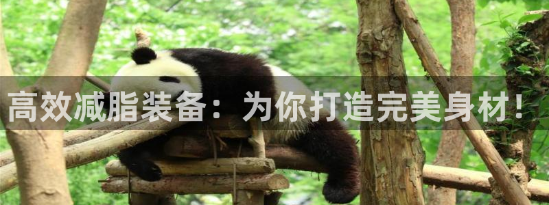 k1体育官网下载开户：高效减脂装备：为你打造完美身材