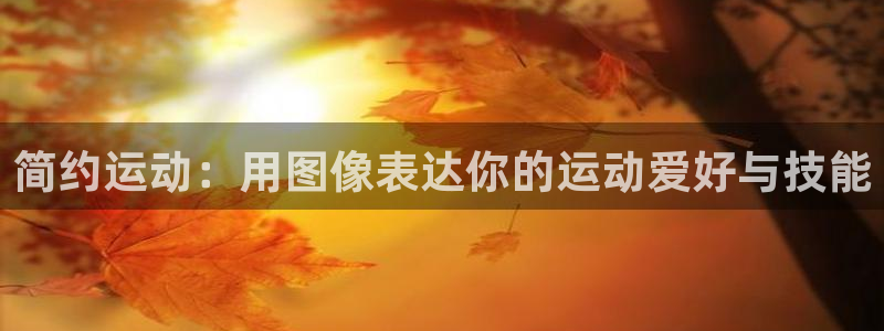 k1体育官网下载平台假的吗是真的吗：简约运动：用图像