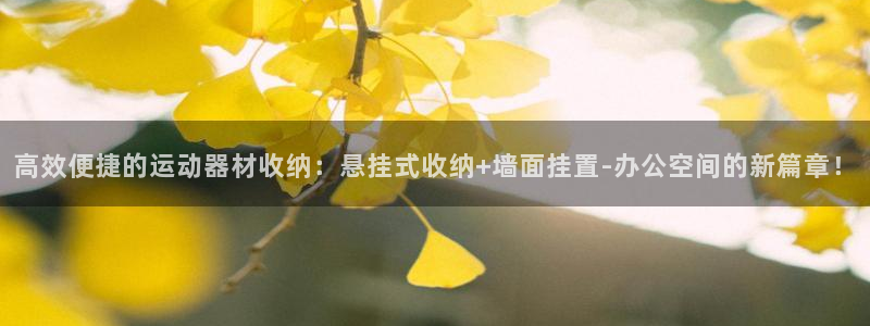 k1体育官网下载招商电话：高效便捷的运动器材收纳：悬