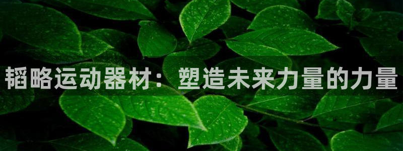 k1体育官方正版app五金厂：韬略运动器材：塑造未来力量的力