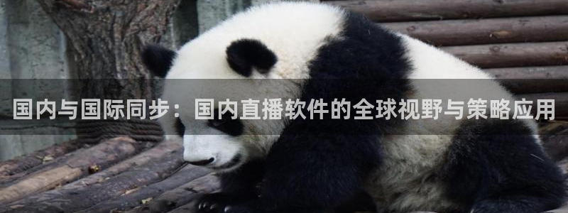 极速体育nba直播