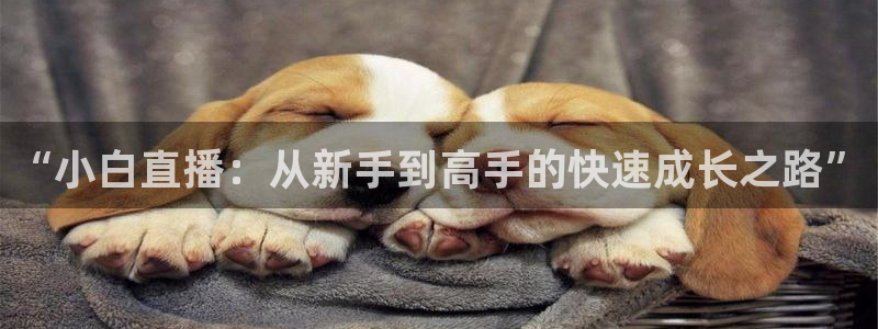 极速直播体育在线直播：“小白直播：从新手到高手的快速成长之路”