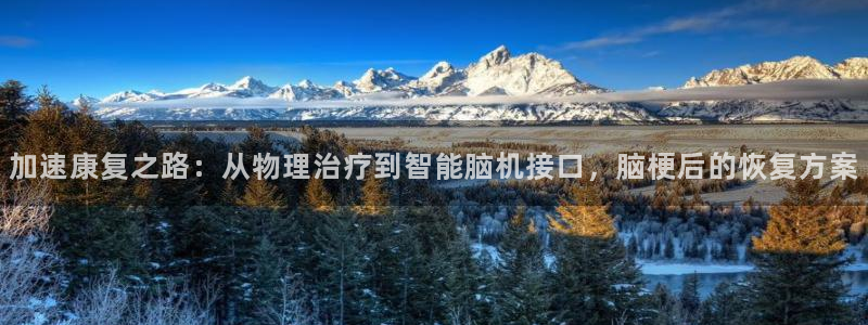 k1体育官网下载平台假的吗是真的吗吗：加速康复之路：从物理治