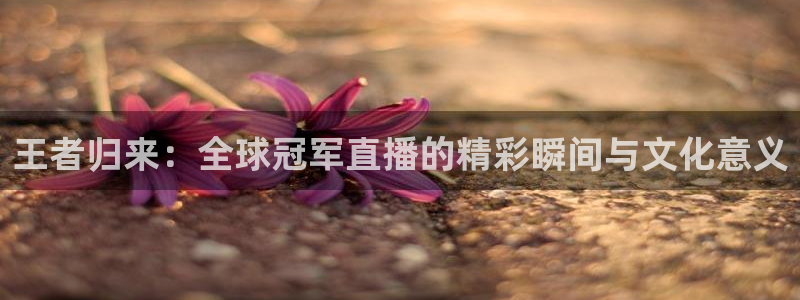 新闻图片