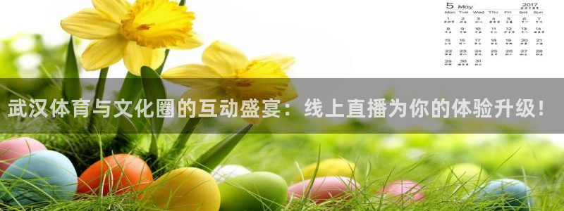 极速体育nba直播：武汉体育与文化圈的互动盛宴：线上直播为你的体验升级！