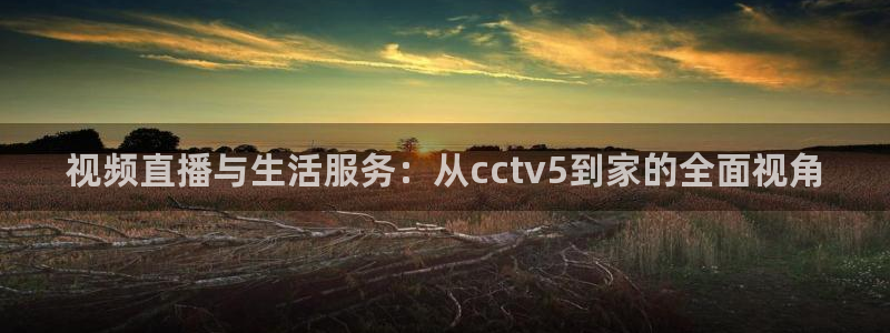 nba直播体育直播极速：视频直播与生活服务：从cctv5到家的全面视角