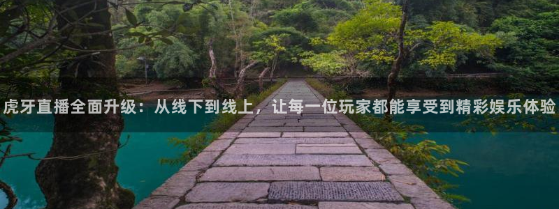 nba无插件在线直播观看极速体育：虎牙直播全面升级：从线下到线上，让每一位玩家都能享受到精彩娱乐体验